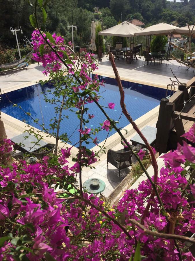 The Stone Castle Boutique Hotel Ağaçlı Kültér fotó